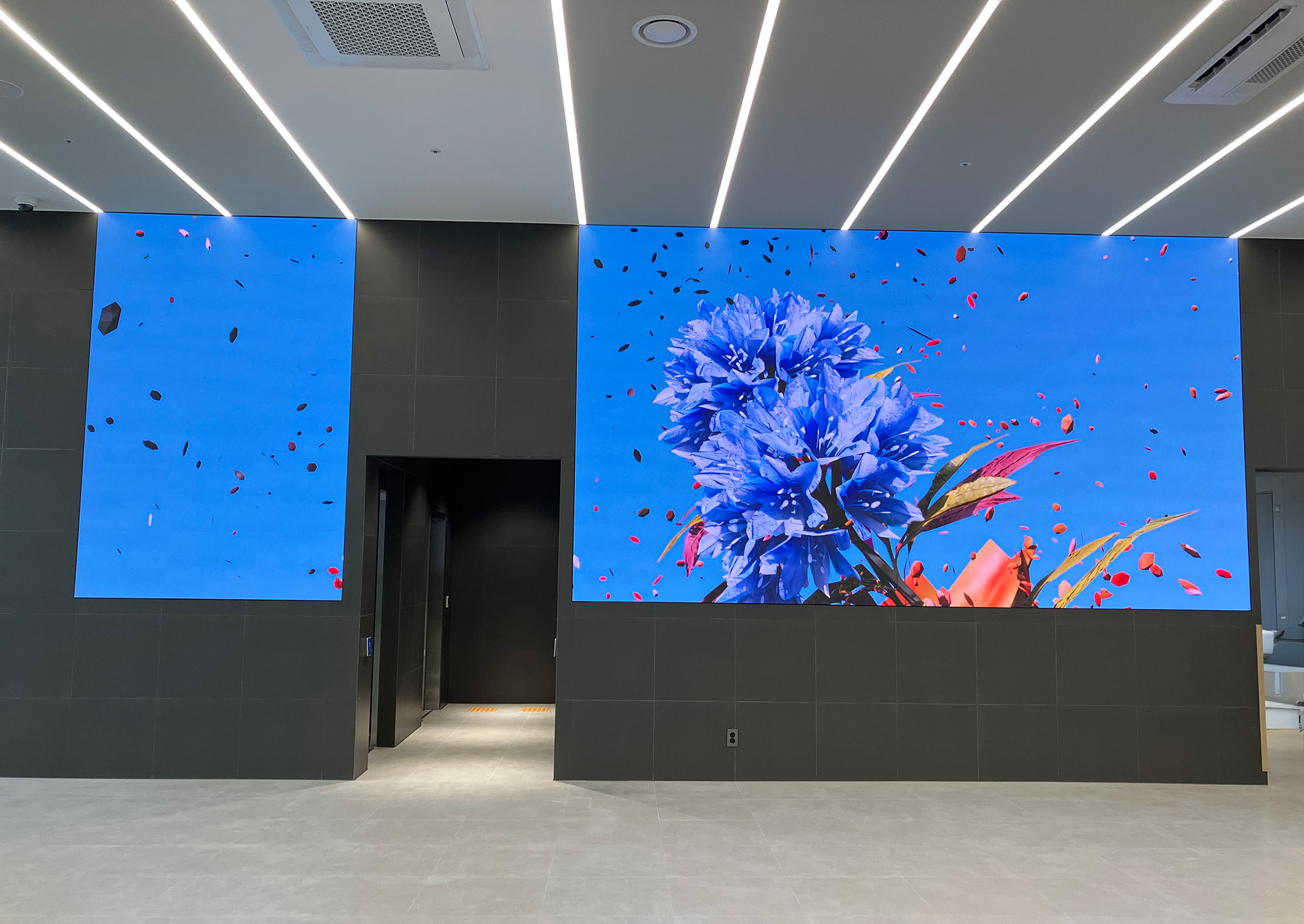 video installation and media art - Desert Bloom - by Yoon Chung Han