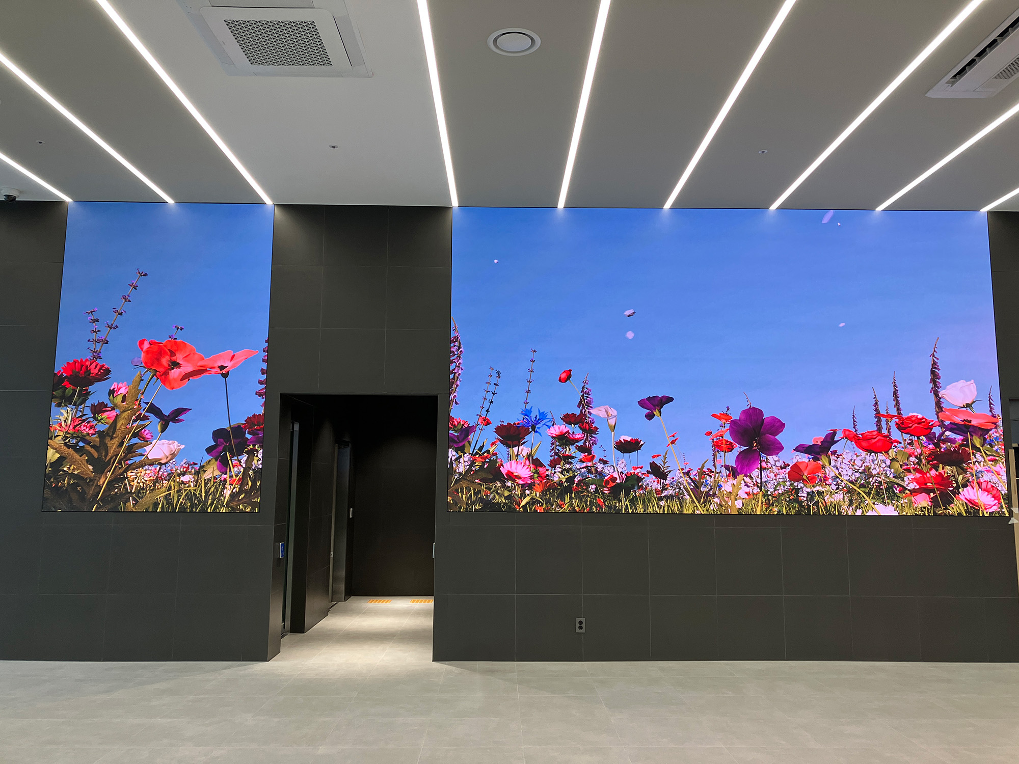 video installation and media art - Desert Bloom - by Yoon Chung Han